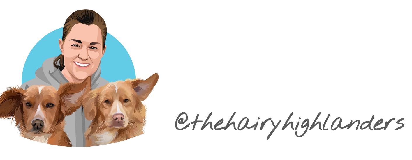Illustration of a person with two dogs, one on each side, against a blue background.