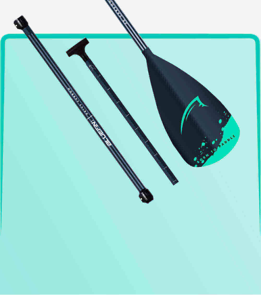 Three-piece paddle with black shaft and teal blade featuring 'Born to Paddle' design