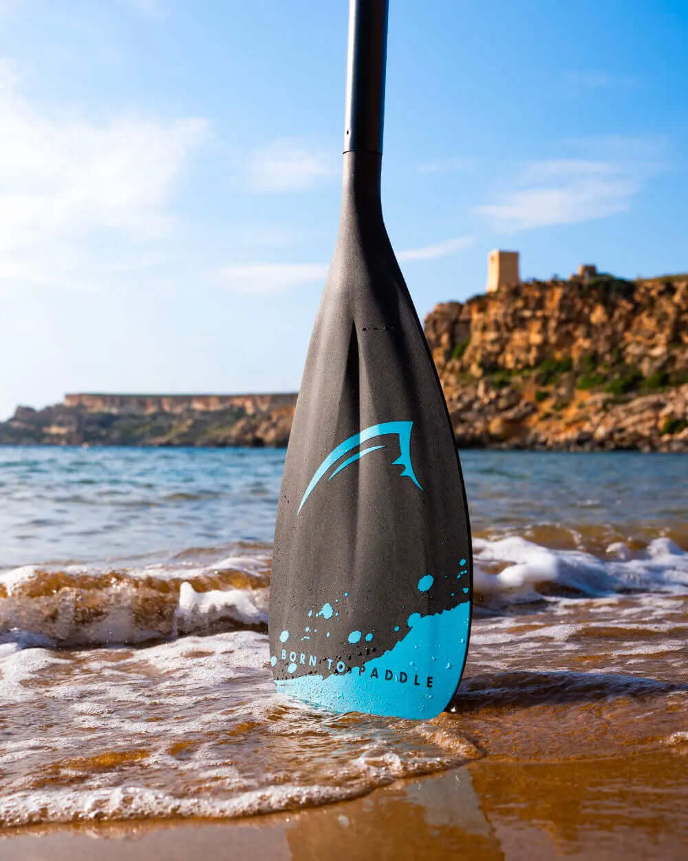 Black paddle with blue accents and text "BORN TO PADDLE" standing in shallow water on a beach.