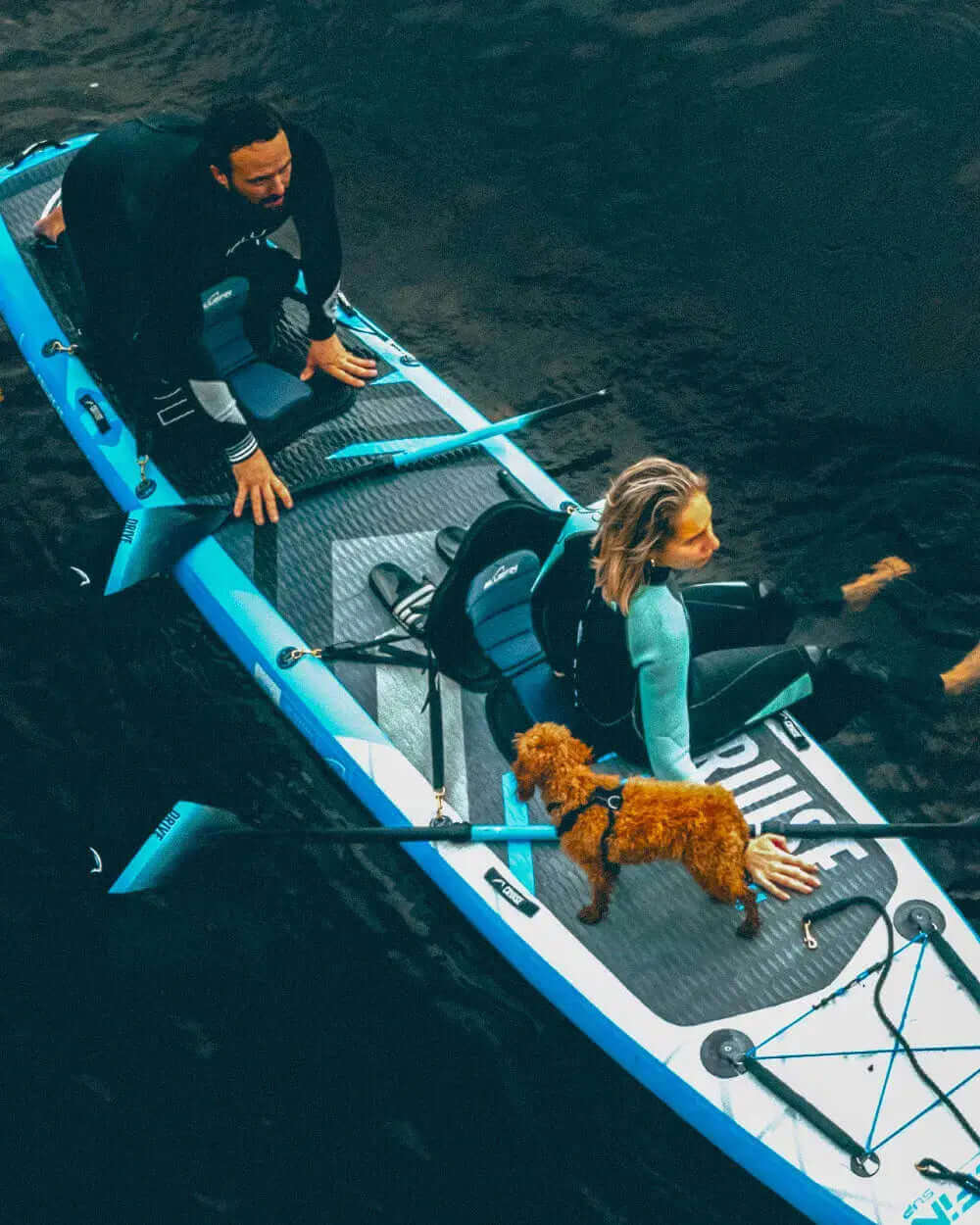 Two people on a blue inflatable paddleboard with a small dog, one person paddling and the other sitting.