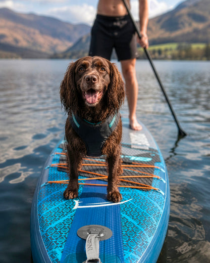 Brown dog on a blue inflatable paddleboard in calm water, with a person paddling in the background.