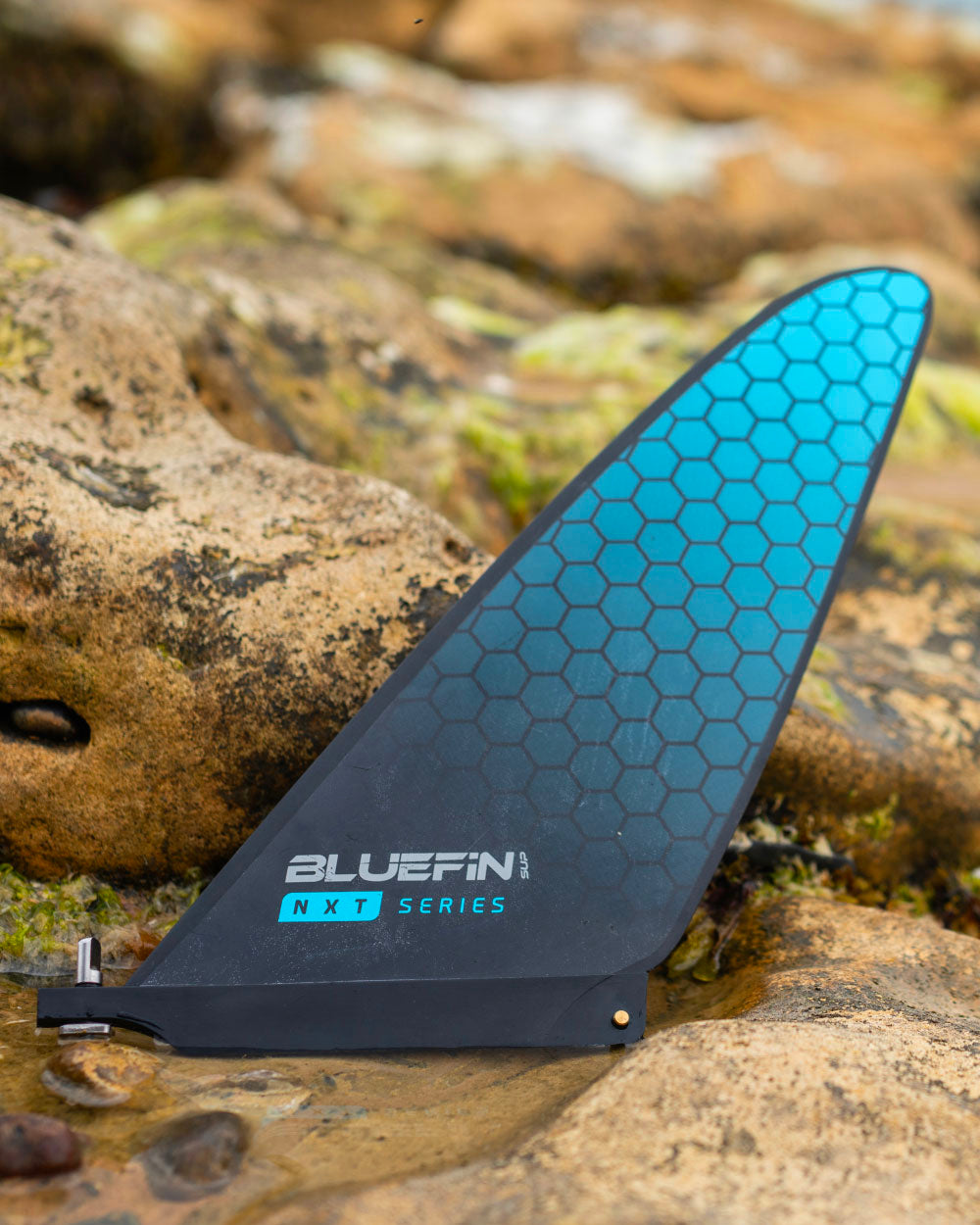 NXT Racing Fin